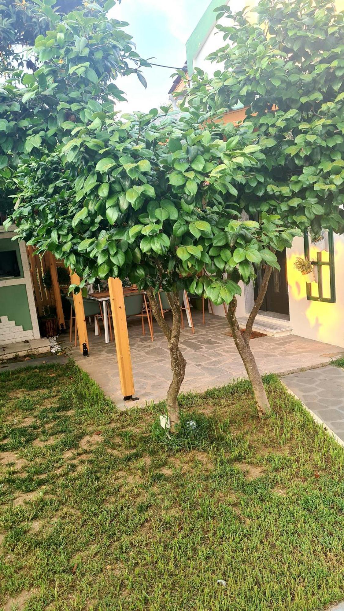 Lamprini'S Deluxe Studios Limenas  Ngoại thất bức ảnh